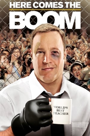 Here Comes the Boom 2012 Hindi Dual Audio –
