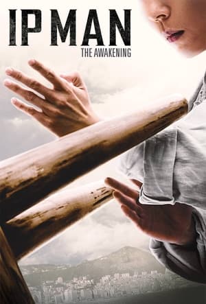 Ip Man: The Awakening (2022) Hindi Dual Audio –