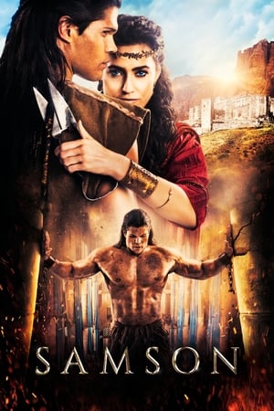 Samson (2018) Hindi Dual Audio –