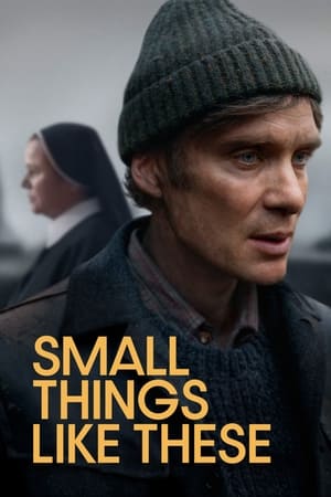 Small Things Like These 2024 Hindi Subbed